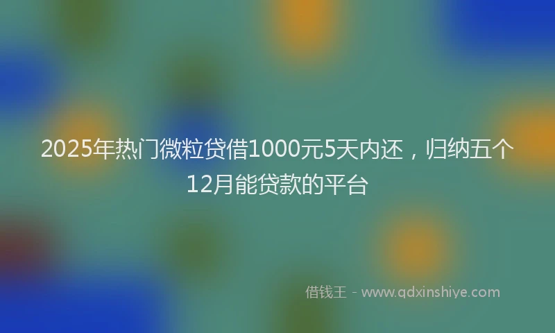 2025年热门微粒贷借1000元5天内还，归纳五个12月能贷款的平台