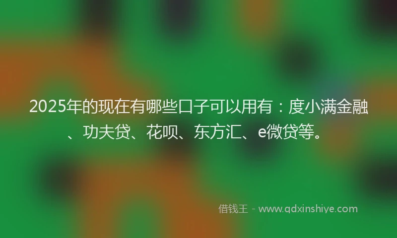 2025年的现在有哪些口子可以用有：度小满金融、功夫贷、花呗、东方汇、e微贷等。