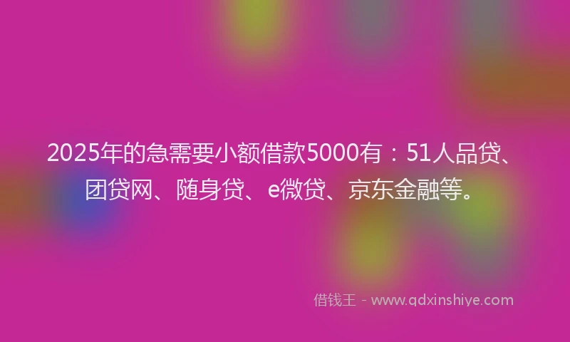 2025年的急需要小额借款5000有：51人品贷、团贷网、随身贷、e微贷、京东金融等。