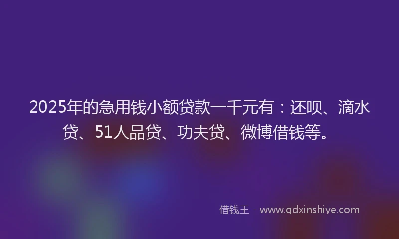 2025年的急用钱小额贷款一千元有：还呗、滴水贷、51人品贷、功夫贷、微博借钱等。