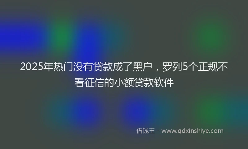 2025年热门没有贷款成了黑户，罗列5个正规不看征信的小额贷款软件