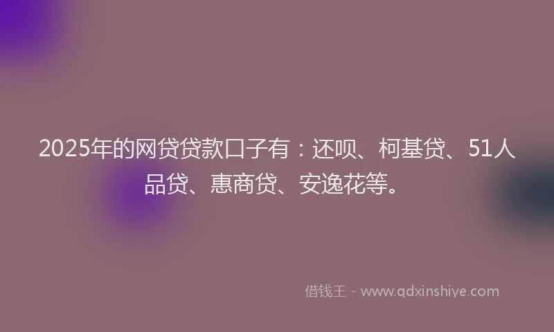 2025年的网贷贷款口子有：还呗、柯基贷、51人品贷、惠商贷、安逸花等。