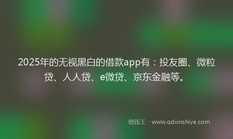 2025年的无视黑白的借款app有：投友圈、微粒贷、人人贷、e微贷、京东金融等。