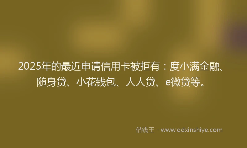 2025年的最近申请信用卡被拒有：度小满金融、随身贷、小花钱包、人人贷、e微贷等。