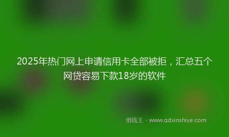 2025年热门网上申请信用卡全部被拒，汇总五个网贷容易下款18岁的软件