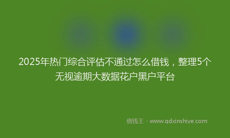 2025年热门综合评估不通过怎么借钱，整理5个无视逾期大数据花户黑户平台