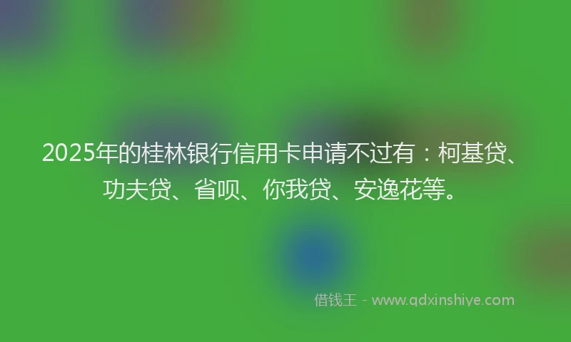 2025年的桂林银行信用卡申请不过有：柯基贷、功夫贷、省呗、你我贷、安逸花等。