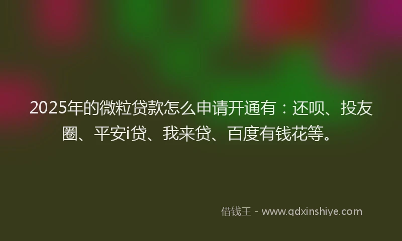 2025年的微粒贷款怎么申请开通有：还呗、投友圈、平安i贷、我来贷、百度有钱花等。