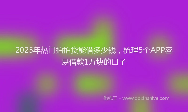 2025年热门拍拍贷能借多少钱，梳理5个APP容易借款1万块的口子