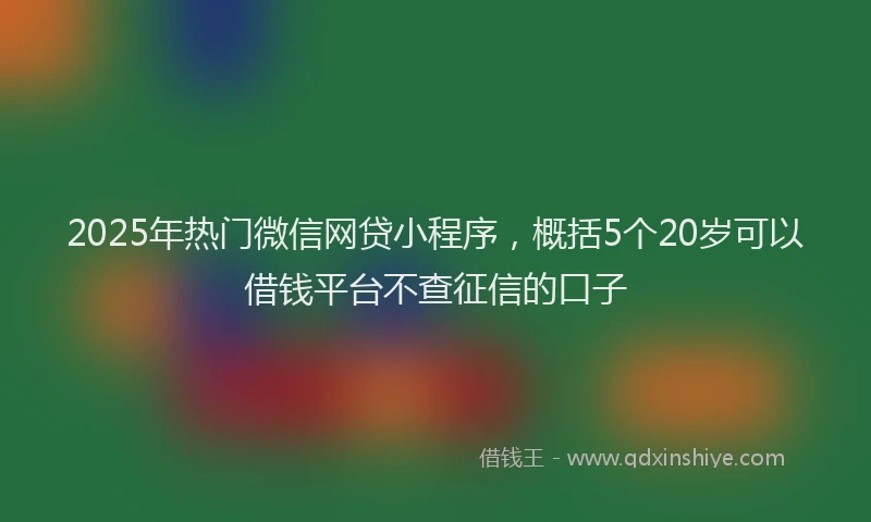 2025年热门微信网贷小程序，概括5个20岁可以借钱平台不查征信的口子