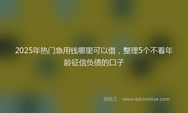 2025年热门急用钱哪里可以借，整理5个不看年龄征信负债的口子