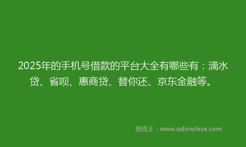 2025年的手机号借款的平台大全有哪些有：滴水贷、省呗、惠商贷、替你还、京东金融等。