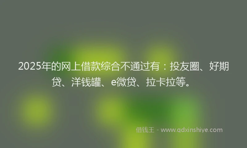 2025年的网上借款综合不通过有：投友圈、好期贷、洋钱罐、e微贷、拉卡拉等。
