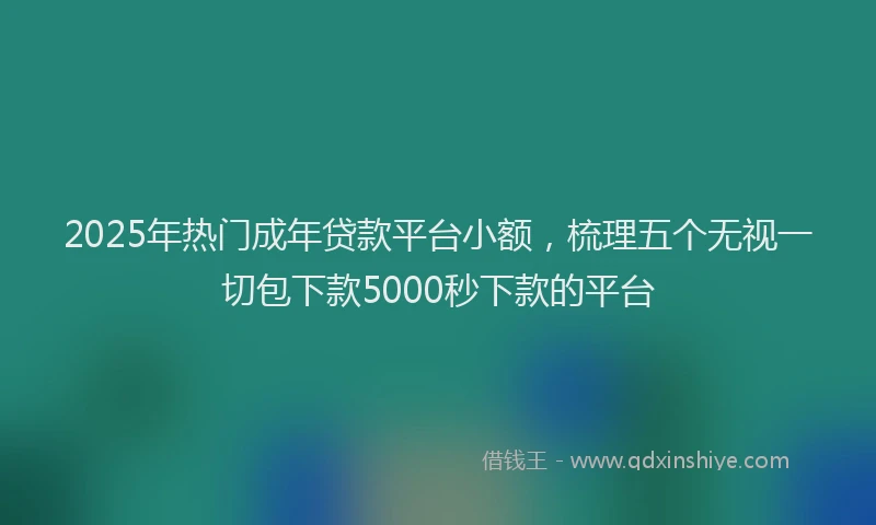 2025年热门成年贷款平台小额，梳理五个无视一切包下款5000秒下款的平台