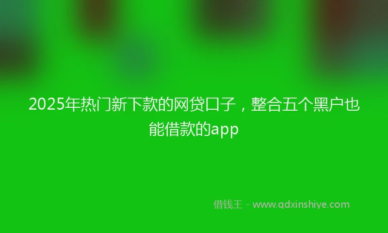 2025年热门新下款的网贷口子，整合五个黑户也能借款的app
