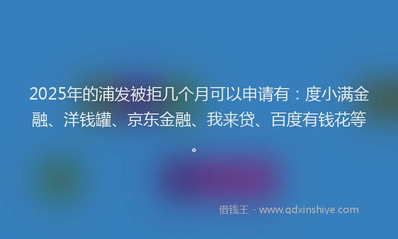 2025年的浦发被拒几个月可以申请有：度小满金融、洋钱罐、京东金融、我来贷、百度有钱花等。