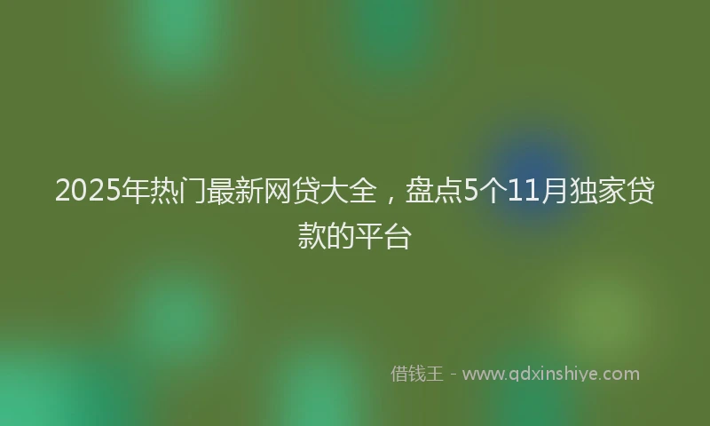 2025年热门最新网贷大全，盘点5个11月独家贷款的平台