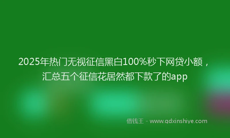 2025年热门无视征信黑白100%秒下网贷小额，汇总五个征信花居然都下款了的app