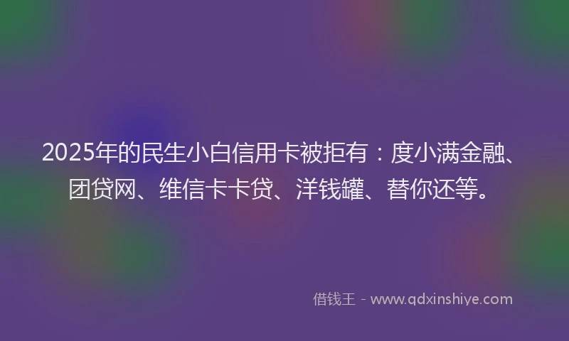 2025年的民生小白信用卡被拒有：度小满金融、团贷网、维信卡卡贷、洋钱罐、替你还等。