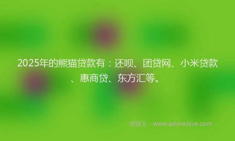 2025年的熊猫贷款有：还呗、团贷网、小米贷款、惠商贷、东方汇等。