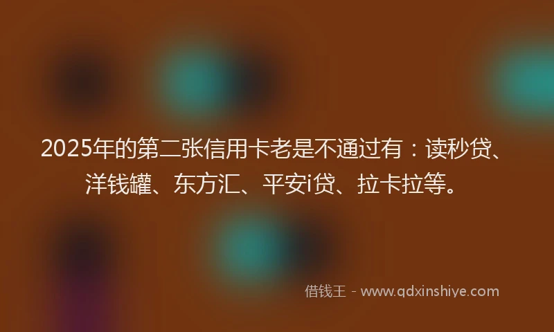 2025年的第二张信用卡老是不通过有：读秒贷、洋钱罐、东方汇、平安i贷、拉卡拉等。
