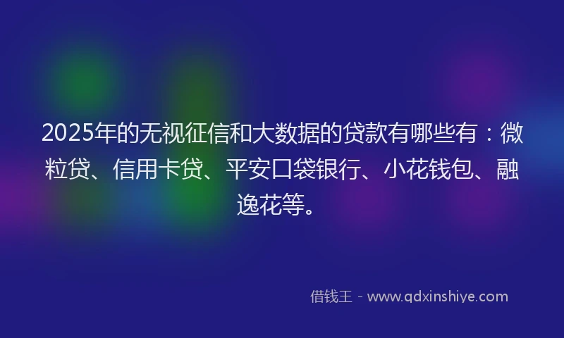 2025年的无视征信和大数据的贷款有哪些有：微粒贷、信用卡贷、平安口袋银行、小花钱包、融逸花等。