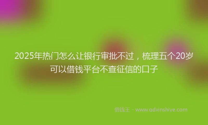 2025年热门怎么让银行审批不过，梳理五个20岁可以借钱平台不查征信的口子