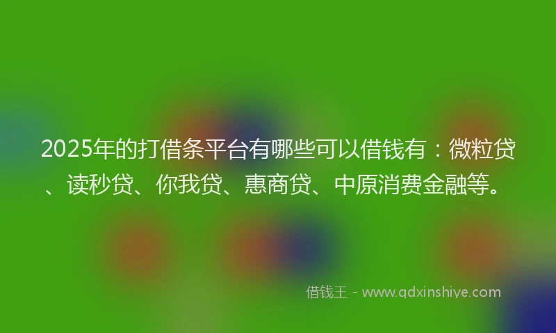 2025年的打借条平台有哪些可以借钱有：微粒贷、读秒贷、你我贷、惠商贷、中原消费金融等。
