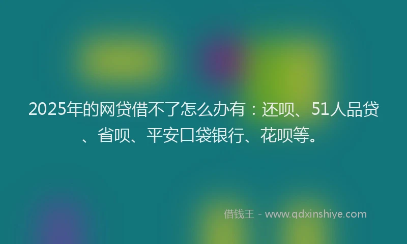 2025年的网贷借不了怎么办有：还呗、51人品贷、省呗、平安口袋银行、花呗等。