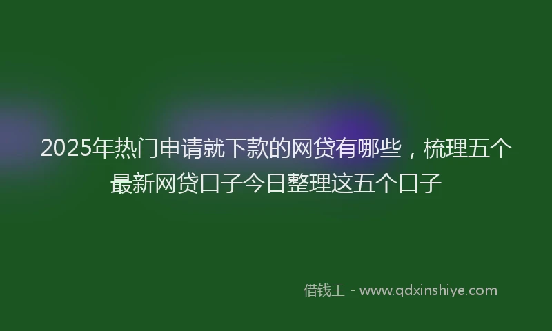 2025年热门申请就下款的网贷有哪些，梳理五个最新网贷口子今日整理这五个口子