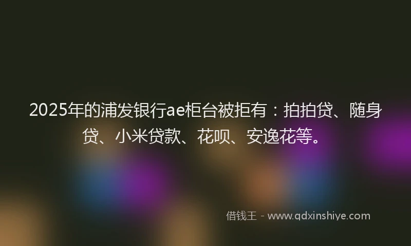 2025年的浦发银行ae柜台被拒有：拍拍贷、随身贷、小米贷款、花呗、安逸花等。