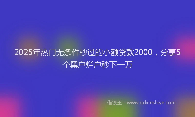 2025年热门无条件秒过的小额贷款2000，分享5个黑户烂户秒下一万