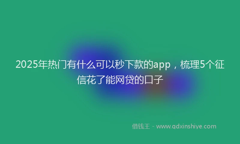 2025年热门有什么可以秒下款的app，梳理5个征信花了能网贷的口子