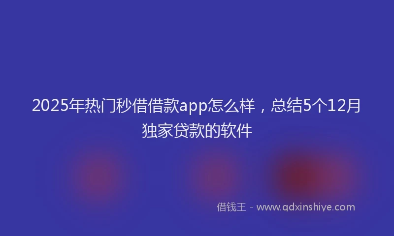 2025年热门秒借借款app怎么样，总结5个12月独家贷款的软件