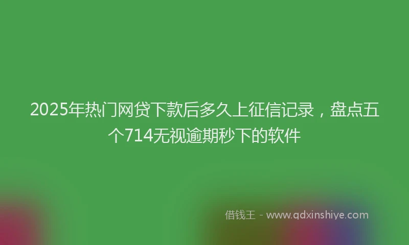 2025年热门网贷下款后多久上征信记录，盘点五个714无视逾期秒下的软件