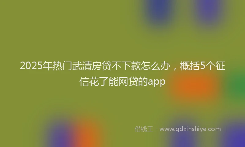 2025年热门武清房贷不下款怎么办，概括5个征信花了能网贷的app