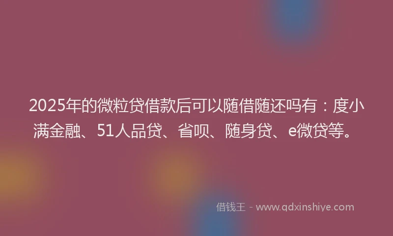 2025年的微粒贷借款后可以随借随还吗有：度小满金融、51人品贷、省呗、随身贷、e微贷等。