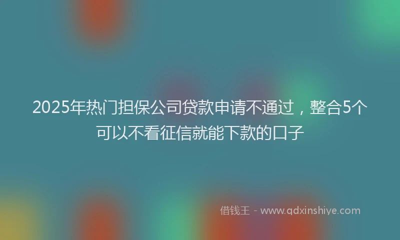 2025年热门担保公司贷款申请不通过，整合5个可以不看征信就能下款的口子