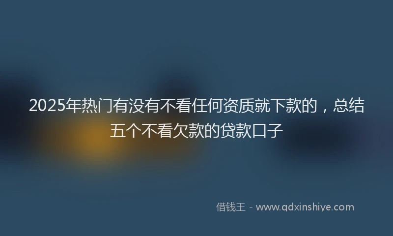 2025年热门有没有不看任何资质就下款的，总结五个不看欠款的贷款口子