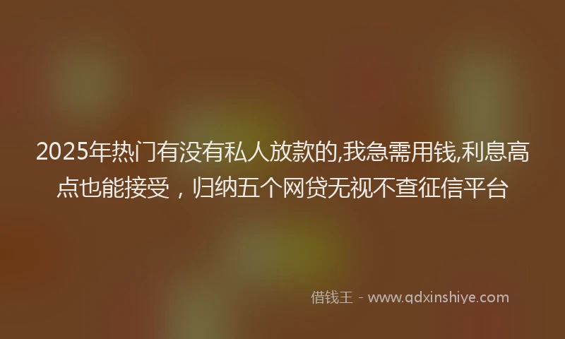 2025年热门有没有私人放款的,我急需用钱,利息高点也能接受，归纳五个网贷无视不查征信平台
