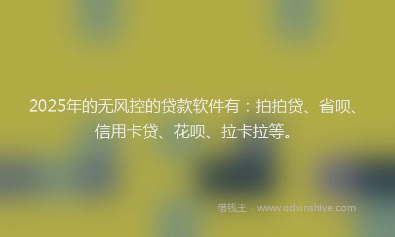 2025年的无风控的贷款软件有：拍拍贷、省呗、信用卡贷、花呗、拉卡拉等。