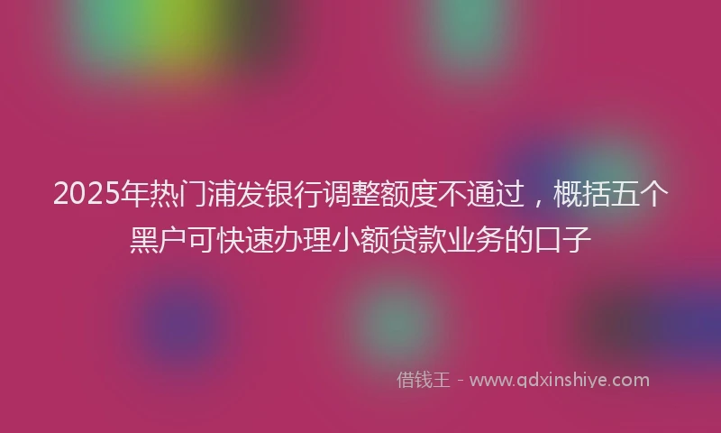 2025年热门浦发银行调整额度不通过，概括五个黑户可快速办理小额贷款业务的口子