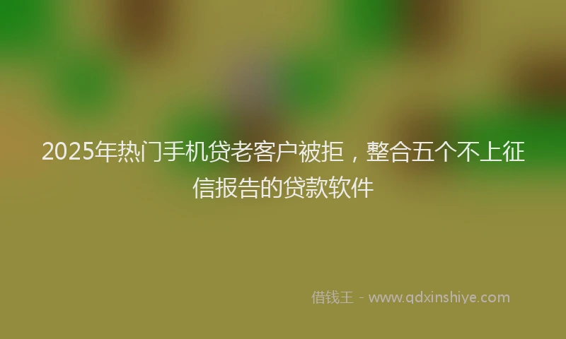 2025年热门手机贷老客户被拒，整合五个不上征信报告的贷款软件