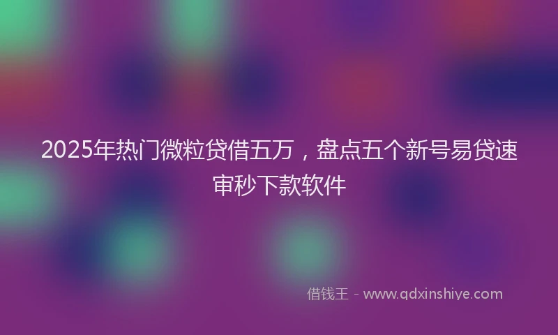2025年热门微粒贷借五万，盘点五个新号易贷速审秒下款软件