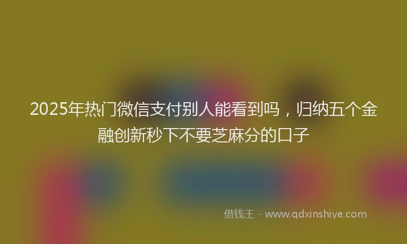 2025年热门微信支付别人能看到吗，归纳五个金融创新秒下不要芝麻分的口子