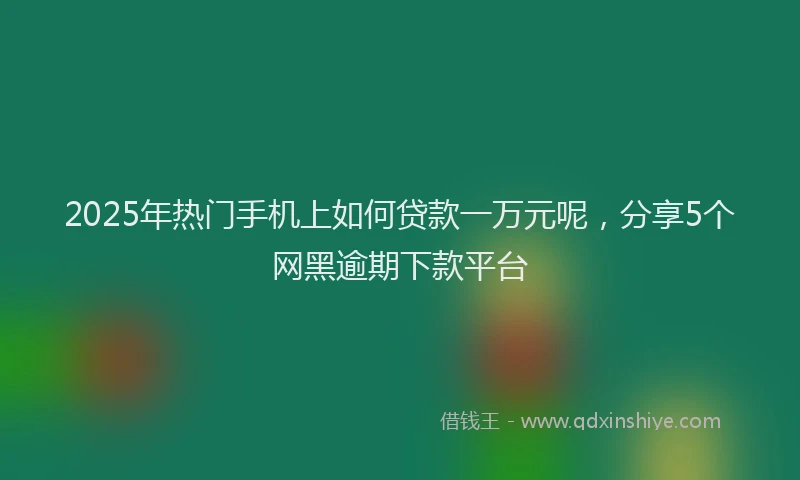 2025年热门手机上如何贷款一万元呢，分享5个网黑逾期下款平台
