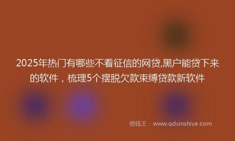2025年热门有哪些不看征信的网贷,黑户能贷下来的软件，梳理5个摆脱欠款束缚贷款新软件