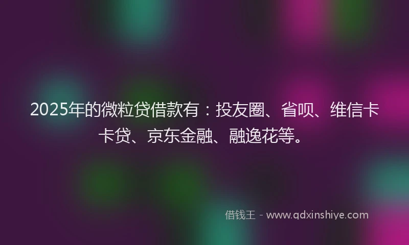 2025年的微粒贷借款有：投友圈、省呗、维信卡卡贷、京东金融、融逸花等。