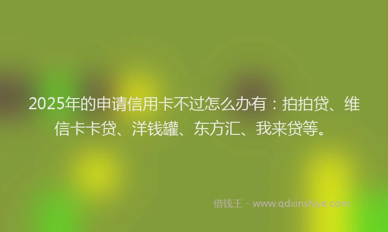 2025年的申请信用卡不过怎么办有：拍拍贷、维信卡卡贷、洋钱罐、东方汇、我来贷等。