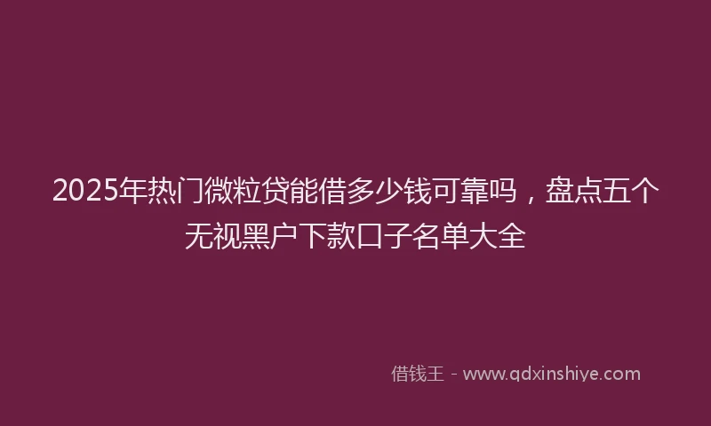 2025年热门微粒贷能借多少钱可靠吗，盘点五个无视黑户下款口子名单大全